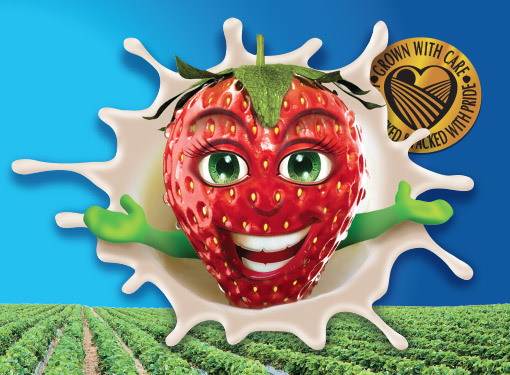 Packaging Branding for Best Berries